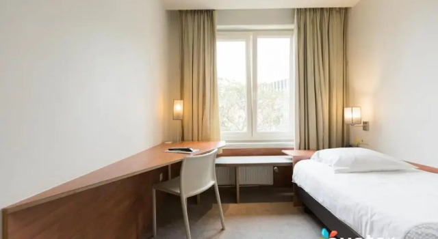 Одноместный номер Hotel Du Congres