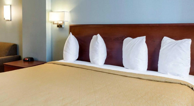 Номер Standard Quality Inn Chester - South Richmond