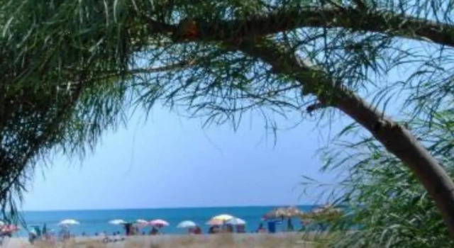 Casa Vacanze " Mela "