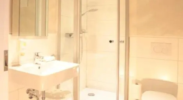 Номер Deluxe Hotel zur Schloß-Schenke