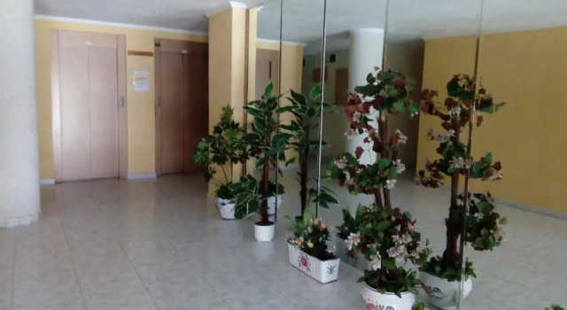 Апартаменты Apartment only 250m from the beach Los Locos