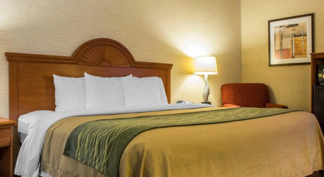 Номер Standard Quality Inn & Suites Mansfield