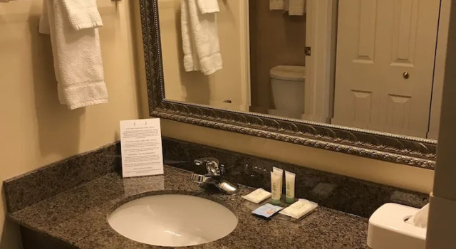 Люкс c 1 комнатой Staybridge Suites Williamsville Buffalo by IHG