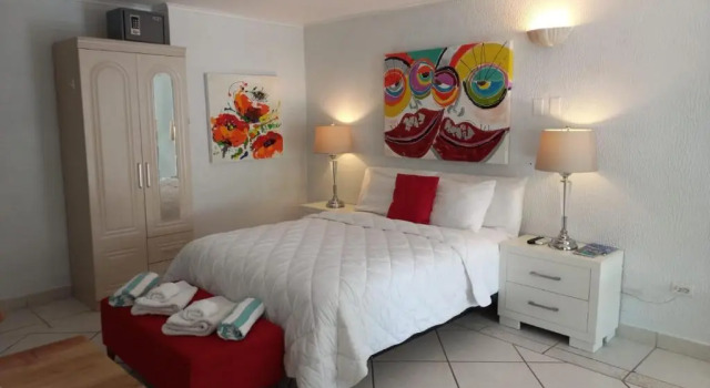 Студия Deluxe Sunflower Villa Studios