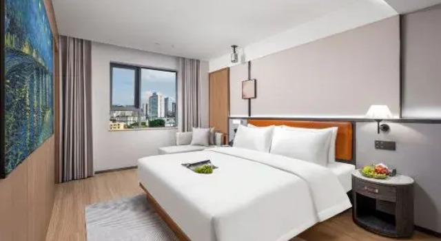 Люкс Dingshe Hotel