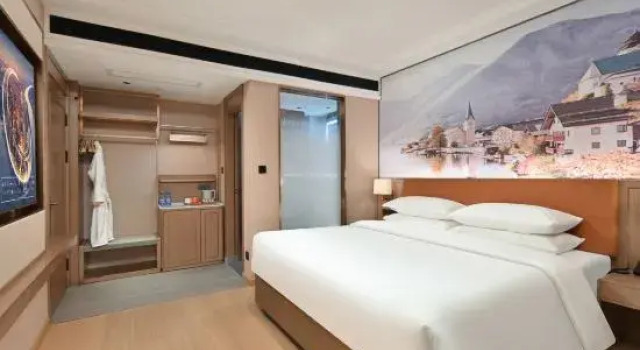 Люкс Deluxe Vienna Hotel Linqing Canal Culture Plaza Store