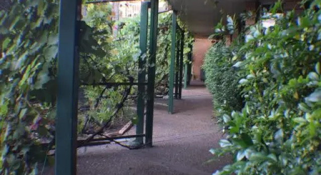 Семейный номер Standard John Hunter Motel Muswellbrook