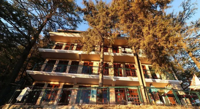 Cedar Tree by OYO Rooms