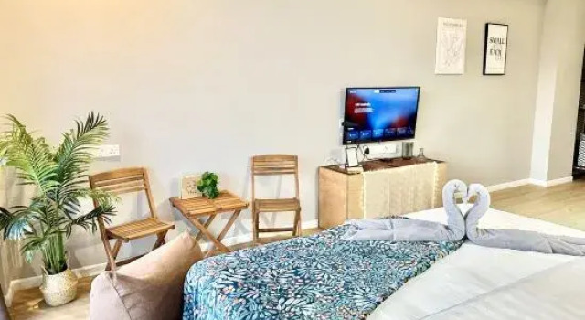 Двухместный люкс Deco Home @ Aru Suites