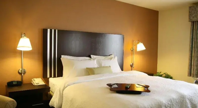 Двухместный люкс c 1 комнатой Hampton Inn & Suites Houston-Cypress Station