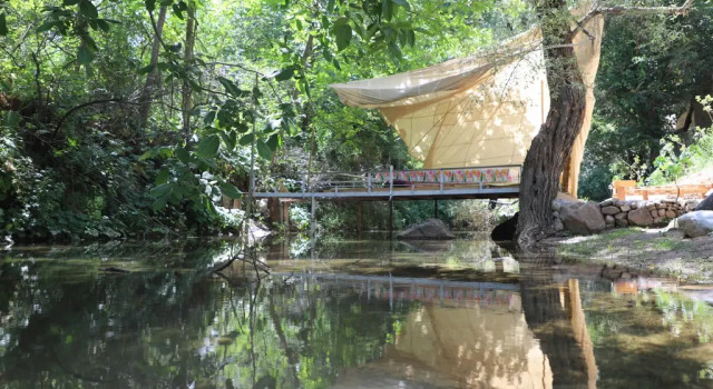 Forest Guest house, Book Guesthouse Aman-Kutan Uzbekistan