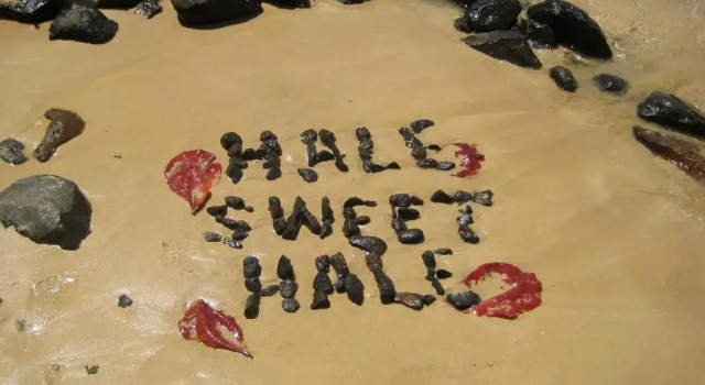 Коттедж Hale Sweet Hale