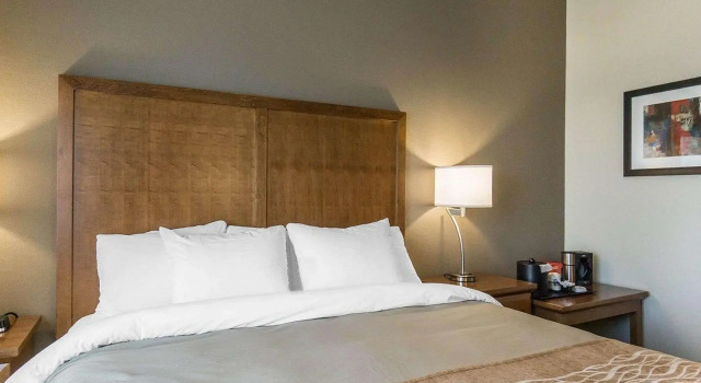 Двухместный номер Standard Comfort Inn & Suites Edmonton International Airport