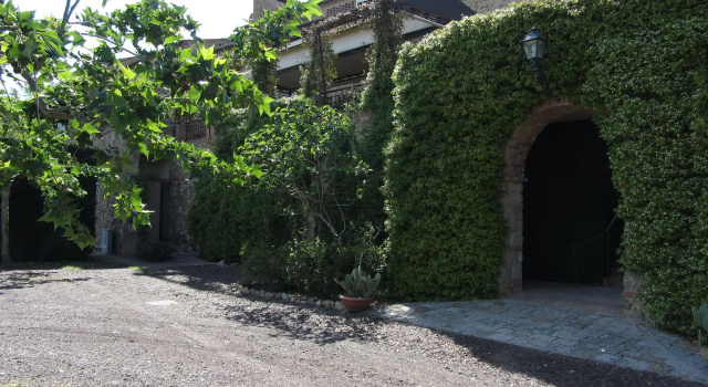 Bosco della Spina