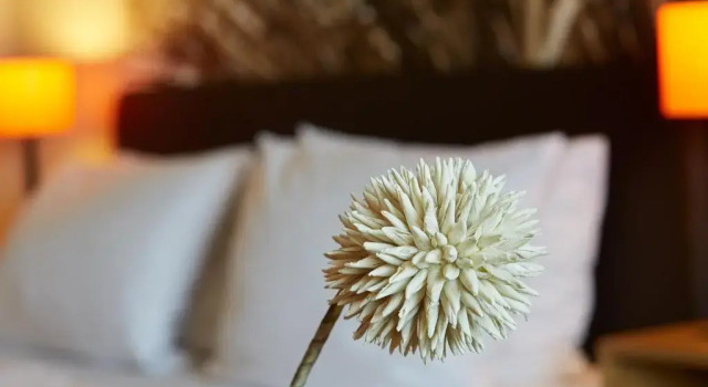 Двухместный номер Standard Hotel & Restaurant Schröder