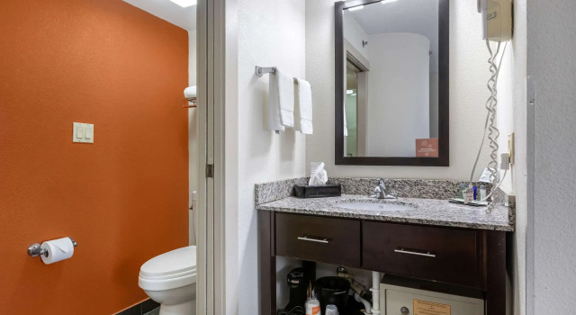 Двухместный номер Standard Sleep Inn DeWitt - Lansing North