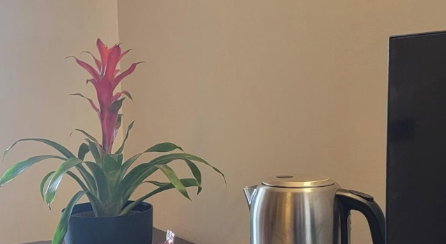 Полулюкс Marbella Hotel