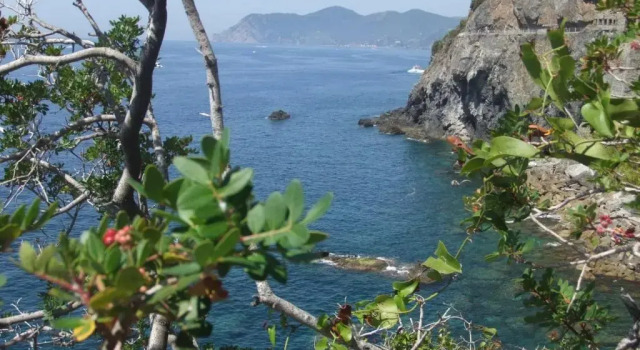 Студия Cantina del Pescatore
