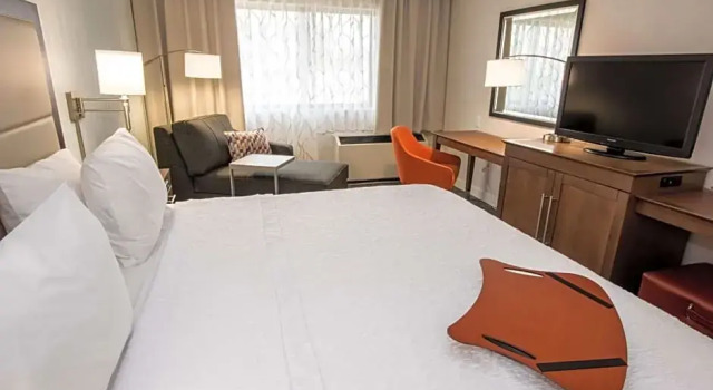 Студия Hampton Inn Albany-Western Ave/University Area