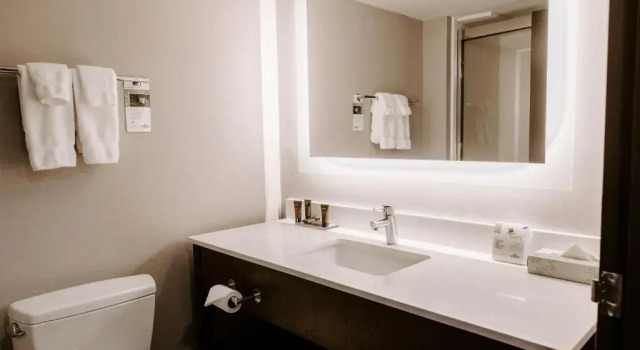 Номер Standard Wingate by Wyndham - Dulles International