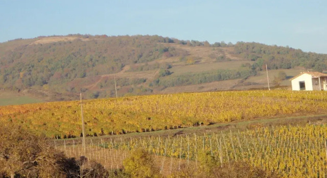 Domaine des Fonterouilles, Prenota Hotel Neuville-sur-Saône 
