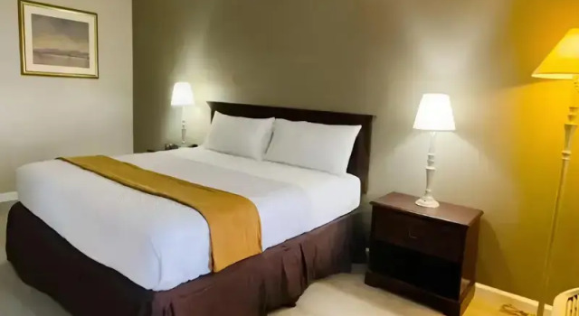 Standard- firedobbelt værelse Rodeway Inn Jackson