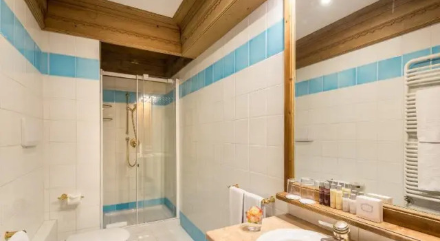 Номер Standard Hotel Bellevue Suites & Spa
