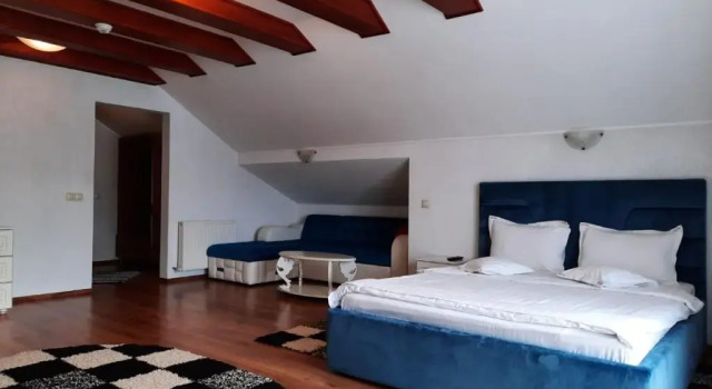 Номер Deluxe Resort EuroPark Fundata