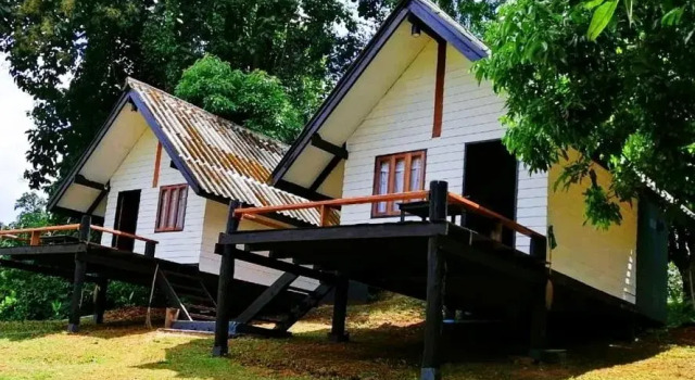 Jungle guest house, 预订 酒店 Pangmapha 泰国