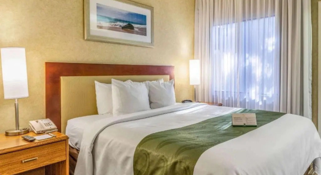 Одноместный люкс с видом на бассейн Quality Suites Downtown San Luis Obispo