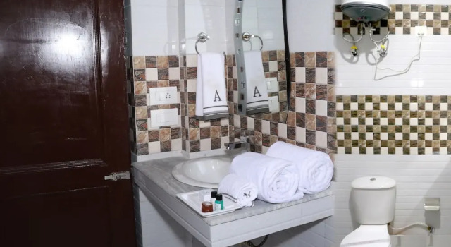 Двухместный номер Executive Hotel Ashiana Palampur
