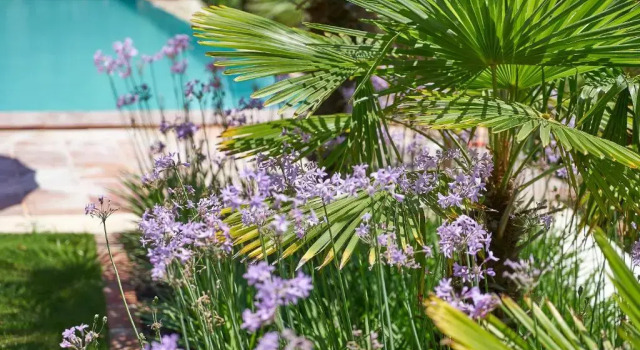 Двухместный номер Economy Villa Taraça Alaçatı Romantik Otel