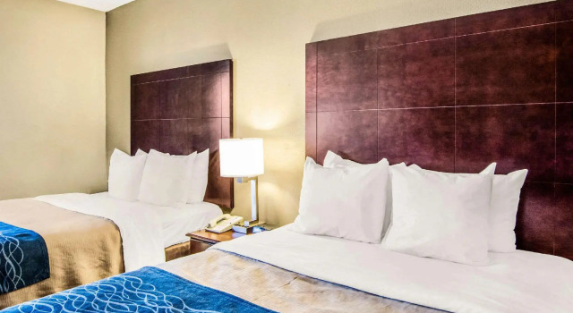 Четырёхместный номер Standard Comfort Inn Atlanta Downtown South