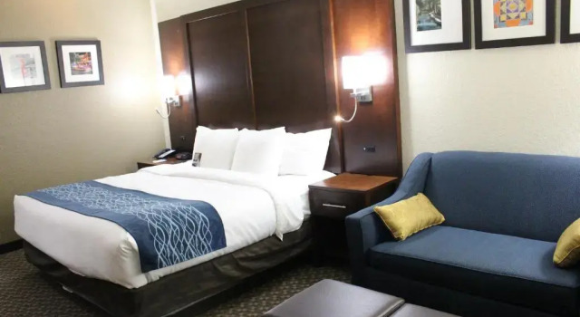 Номер Standard Comfort Inn & Suites Near Six Flags & Medical Center