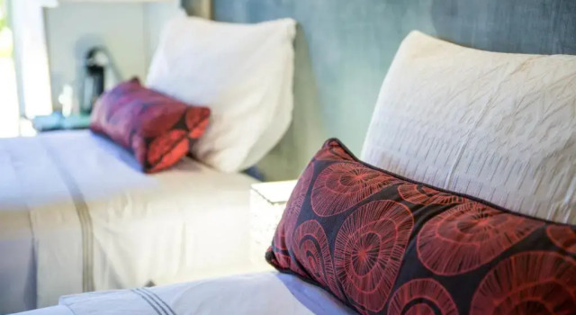 TshiBerry Bed & Breakfast, Prenota Bed & breakfast Phokeng 