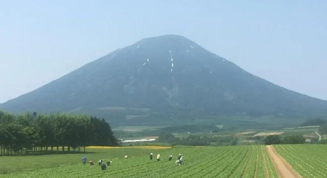 Шале Boutique RUSUTSU HOLIDAY CHALET