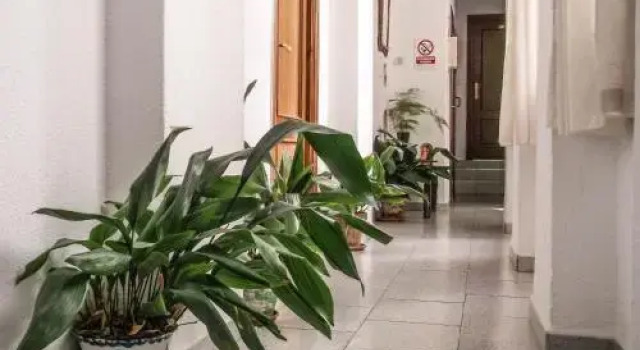 Pension Navarro Ramos, Varaa Hotelli Granadan keskusta 