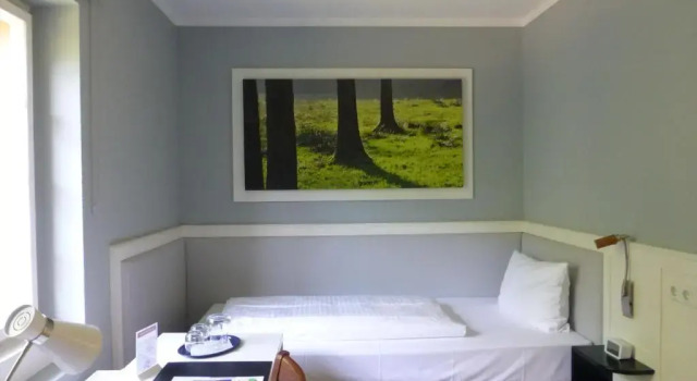 Одноместный номер Standard Jugendstilhotel Trifels