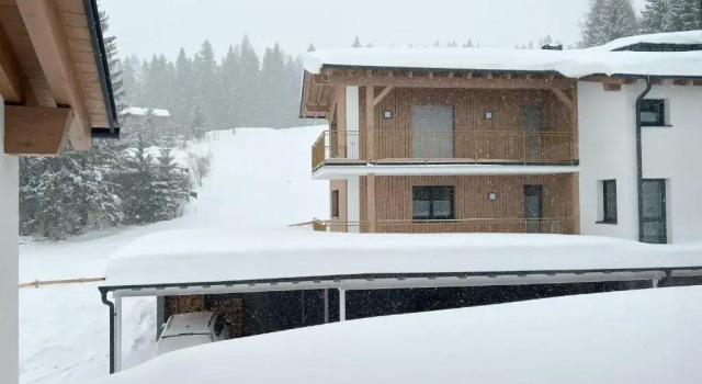 Апартаменты Appartement Alpengefühl am Dachstein
