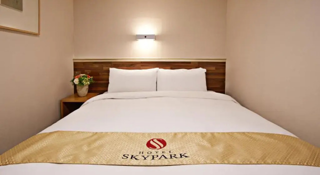 Двухместный номер Standard Hotel Skypark Myeongdong 1