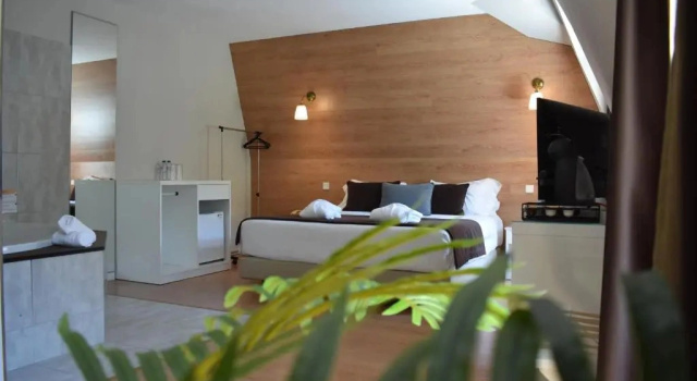 Одноместный люкс Douro Marina Hotel & SPA