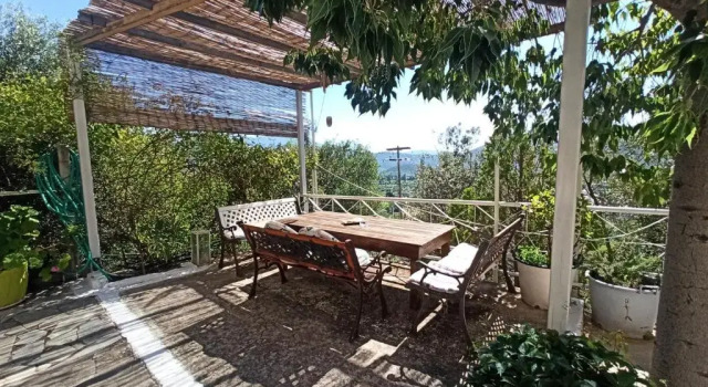 Студия Standard Heras Garden