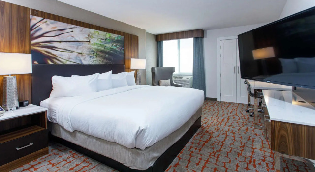 Habitación doble Estándar DoubleTree by Hilton Appleton, WI