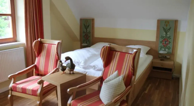 Landgasthof Haueis, Book Pension Gæstehuse i Franconian Forest, Pension