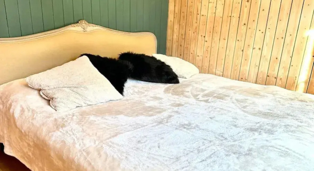 Шале Cosy Chalet With Garden