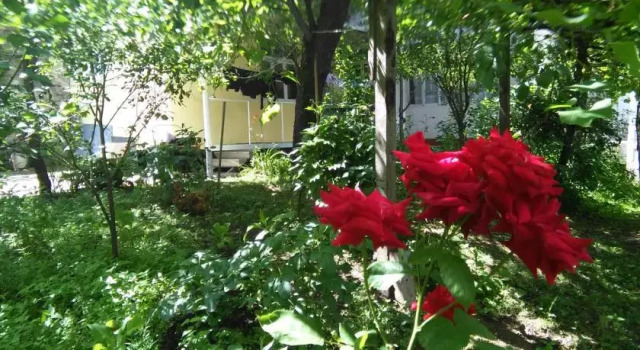 Guest House Marta, Prenota Affittacamere Borjomi Samckhe Javakheti