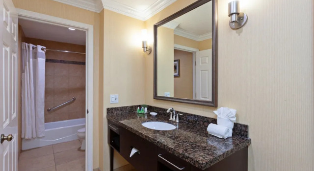 Люкс c 1 комнатой Holiday Inn & Suites San Mateo - SFO by IHG