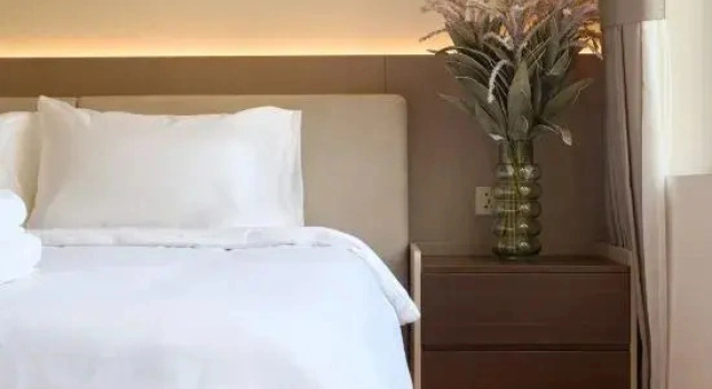 Полулюкс HAITA Suites - Phu My Hung