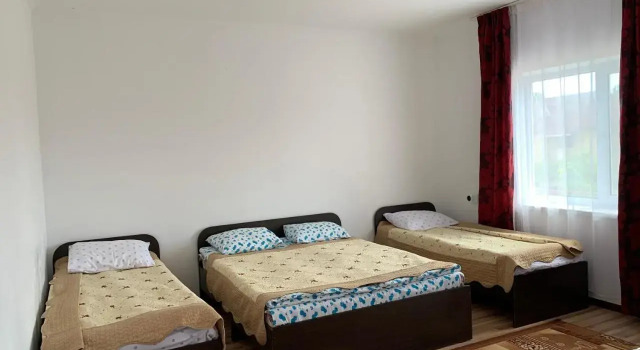 Delfin Murok, Prenota Hotel Bosteri Tamchy