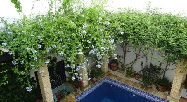 Номер Standard Casa la Loba